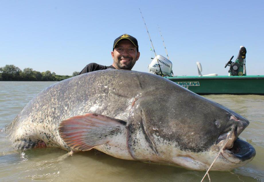  de pe net adunate - 420659294717053993631107679413n.jpg